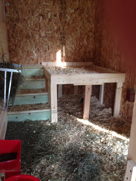 Inside goat pen with bunk beds Inside Goat House, Goat Bed Ideas, Goat And Chicken Barn Layout, Goat Bunk Beds, Pallet Pens For Goats, Goat Pen Ideas Play Areas, Goat Kidding Stall, Goat Shed Ideas, Pallets For Goats