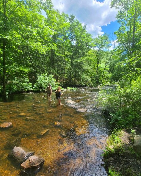 Hippy Summer Aesthetic, Hippy Astetic, Hippy Life, Hippy Vibes, Earth Lover Aesthetic, Hippie Aesthetic Pics, Commune Aesthetic, Earth Grounding Aesthetic, Green Hippie Aesthetic