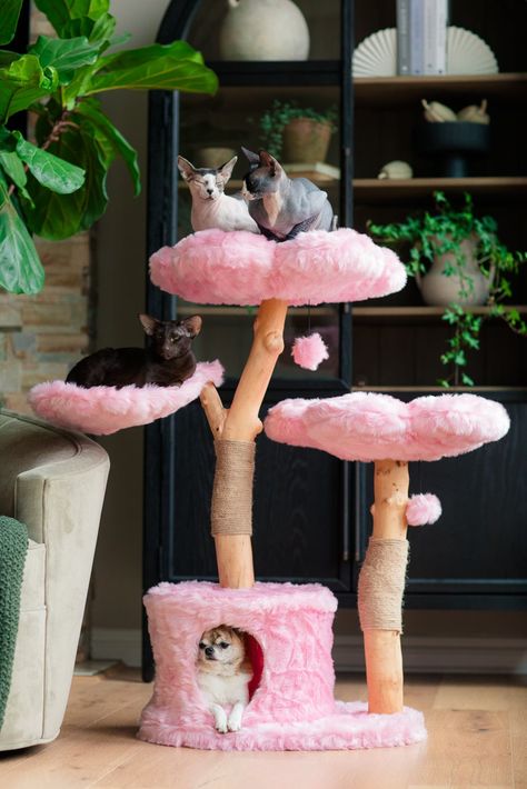 12 of The Cutest Themed Cat Trees You’ll See This Year - Whiskers Magoo Pink Cat Decor, Pink Cat Tree, Pink Floral Room Decor, Cat Tree Cute, Cherry Blossom Furniture, Cherry Blossom Room Decor, Cat Shelves Wall, Wall Cat Shelves, Kitten Room