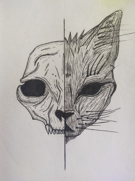 A cat divided in half. Where as one side the cat is alive and on the other side the cat is dead. Cat Skeleton Drawing, Pencil Drawing Images, Cat Skeleton, Skeleton Drawings, Drawing Images, Cat Drawing, Pencil Drawing, The Other Side, A Cat