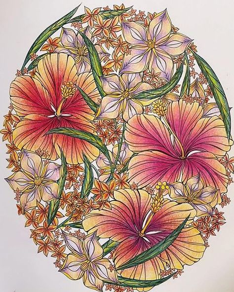 Flowerscape Coloring Book on Instagram: “Loving this piece and when a the flowers bring back a sweet memory. @storms_colours recalls hibiscus in her grandparents home ✨💕🌸✨” Maggie Enterrios Flowerscape, Flowerscape In Paradise, Flowerscape Coloring Book Finished Pages, Flowerscape Coloring, Maggie Enterrios, Leila Duly, Coloring Inspiration, Colored Flowers, Coloring Book Art