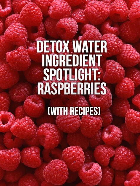 Raspberry Infused Water, Raspberry Infused Water Recipes, Raspberry Drink Recipes, Diets Meals, Lime Water Recipe, Raspberry Benefits, Infused Water Benefits, Raspberry Water, Mint Detox Water