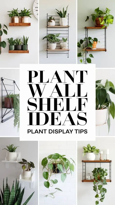 Vertical Indoor Plant Wall, Wall Plant Display, Shelves For Plants Indoor, Wall Shelves For Plants, Plant Wall Shelf Ideas, Diy Plant Shelf, Plant Wall Shelf, Plant Shelf Wall, Wall Shelf Ideas