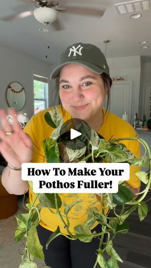 2.7K views · 2.1K reactions | How to make your pothos fuller 👇🏻👇🏻

This beautiful marble queen/snow queen pothos has insane variegation but it’s literally a one strand plant 🪴🤣

I chopped up a few leaves under the node & put them in water with some “Prop Drops” from @marketbotany - needless to say I am obsessed 🙌🏻

In just a few weeks these props will be ready for their new home and we’ll make this Pothos more beautiful than it already is! 

🪴save this video & check back in, in a few weeks for an update!! 

✨ what Pothos is your favorite out of the bunch?! 

#pothospropagation #pothosplant #pothosplants #pothoslove #pothos #propagationstation #propagationsuccess #houseplantlove | sarah anne | houseplant enthusiast Pothos Styling, Pothos Plant Decor Ideas, Pothos Climbing Ideas, Snow Queen Pothos, Marble Queen, Pothos Plant, Snow Queen, In Water, How To Make Your