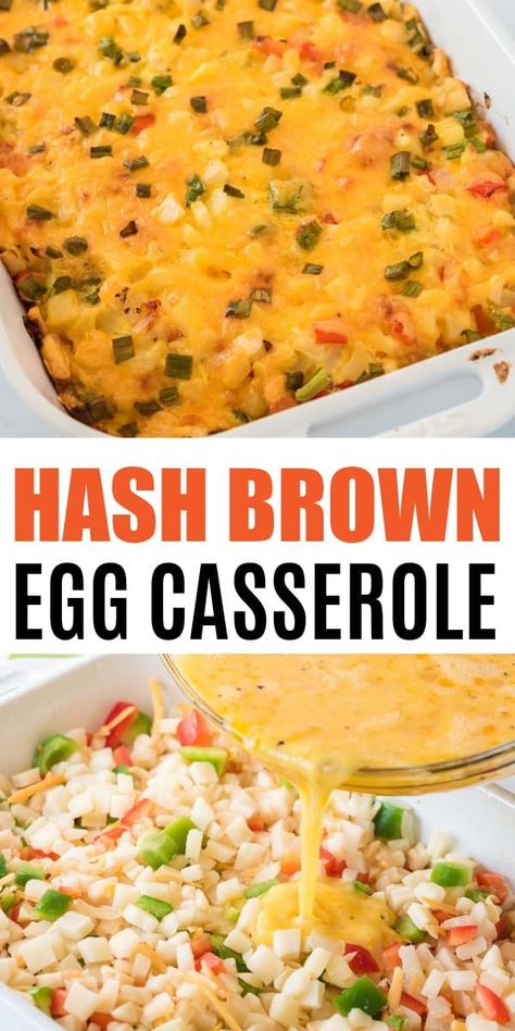 Egg Bake With Hashbrowns, Cheese Recipes Easy, Breakfast Casserole Dishes, Hash Brown Egg Casserole, Meatless Breakfast, Egg Bake Casserole, Hashbrown Breakfast, Delicious Breakfast Casserole, Brown Egg