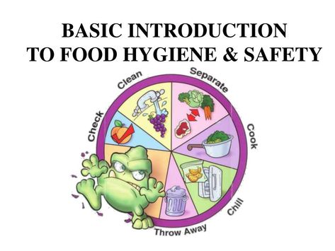 basic introduction to food hygiene safety n. What Is Food, Food Wastage, Food Hygiene, Importance Of Food, Training Facility, Food Cartoon, Singapore Food, Refreshing Food, Hygienic Food