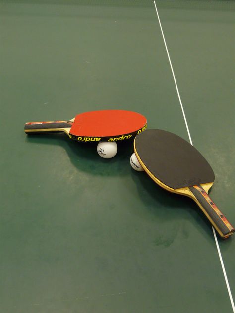 Pet Alligator, Best Ping Pong Table, Html Table, Tennis Wallpaper, Table Tennis Equipment, Fitness Studio Training, Vehicle Illustration, Table Tennis Bats, Ping Pong Tables