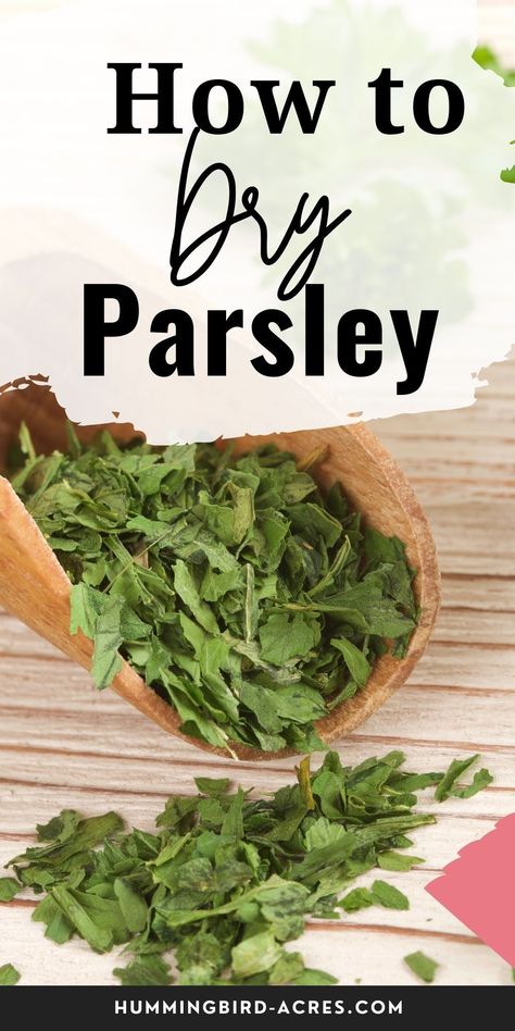 Discover the secrets to perfectly drying parsley with our detailed step-by-step guide. Say goodbye to wasted herbs and hello to a pantry filled with flavorful goodness. Learn how to dry parsley and preserve its vibrant taste all year round. Don't miss out on this essential kitchen skill – start drying parsley today! Drying Parsley, Solar Dehydrator, Excalibur Dehydrator, Pasta Sauce Homemade, Lemon Garlic Shrimp, Kitchen Skills, Garlic Shrimp, Dehydrator Recipes, Homemade Pasta