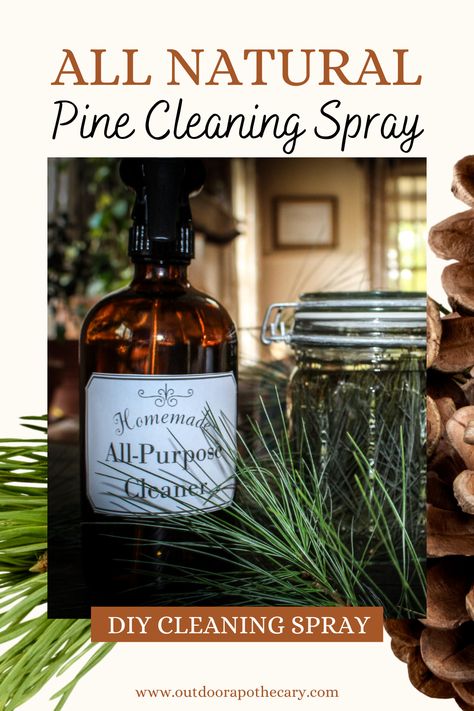 This DIY all-natural pine cleaning spray is perfect for your home as well as a seasonal host/ess gift. Wild pine needles are naturally anti-microbial and antiviral, making them the perfect choice for this cleaning product. Homemade All Purpose Cleaner, Diy Cleaning Spray, Amber Spray Bottle, Vinegar Cleaner, Pine Oil, Pine Essential Oil, Diy Cleaning Products Recipes, Vinegar Uses, Cleaner Recipes