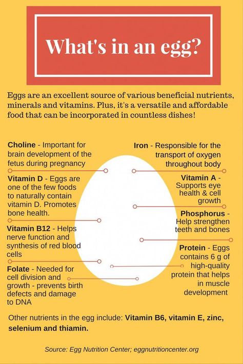 Egg Facts, Egg Nutrition, Egg Benefits, Cooking Substitutions, Best Detox, Healthy Benefits, Health Knowledge, Brain Development, Healthy Diet Plans