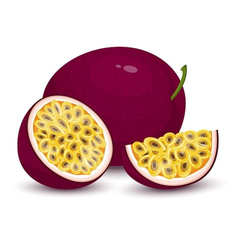 Free Vector | Passion fruit  concept illustration Passion Fruit Illustration, Fruit Cartoon, Fruit Slices, Concept Illustration, Fruit Slice, Fruit Illustration, Passion Fruit, Cartoon Style, Cartoon Styles