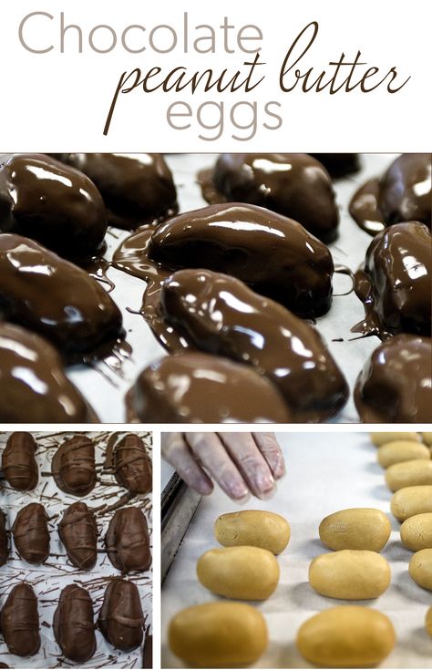 The best chocolate peanut butter egg recipes you can make for Easter or any time of year. Peanut Rolled Easter Eggs, Peanut Butter Eggs Recipe 3 Ingredients, Chocolate Peanut Butter Easter Eggs, Chocolate Covered Peanut Butter Eggs, Peanut Butter Easter Eggs Homemade, Peanut Butter Eggs Easter, Recipes For Peanut Butter, Chocolate Peanut Butter Eggs, Peanut Butter Eggs Recipe