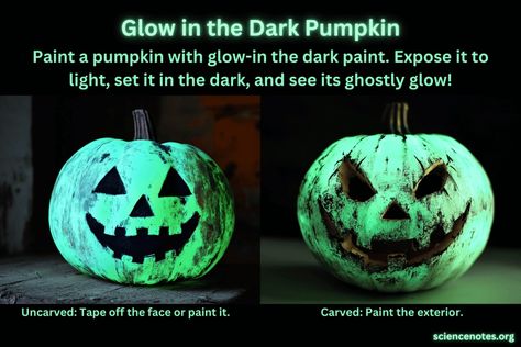 Glow in the Dark Pumpkin for Halloween Types Of Pumpkins, Pumpkin For Halloween, Pumpkin Uses, Glow Paint, Waterproof Paint, Artificial Pumpkins, Halloween Jack O Lanterns, Halloween Jack, Painted Pumpkins