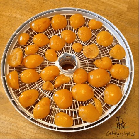 Dehydrator Recipes Fruit, Dehydrating Food Storage, Food Dehydration, Dehydrated Vegetables, Food Dehydrator, Dehydrated Fruit, Canned Peaches, Dehydrated Food, Juicy Fruit