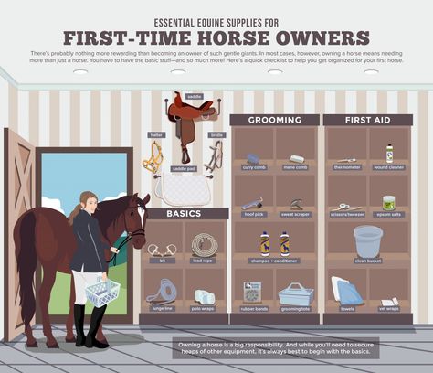 Are you thinking of buying your first horse? Before you do that, you must first understand what are the essential supplies and equipment you will need to properly take care of a horse. First Horse, Horse Ownership, Buy A Horse, Horse Information, Horse Care Tips, Horse Facts, Horse Info, Horse Riding Tips, Horse Camp