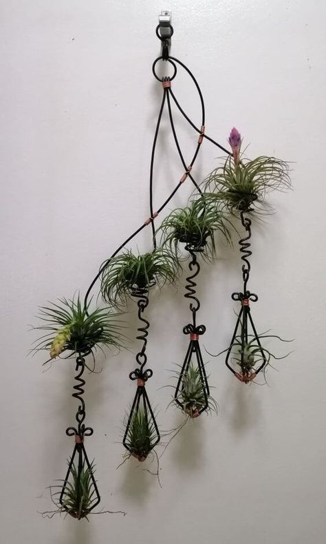 40 Beautiful Mini Air Plant Gardens to Decorate Your Home Plant Cabinet, Odd Plants, Air Plant Art, Dirt Therapy, Air Plants Diy, Air Plant Garden, Garden Goddess, Plant Display Ideas, Air Plants Decor