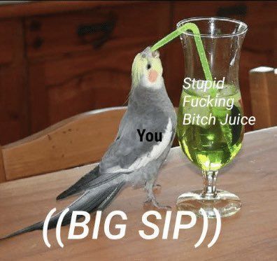 big sip Unsee Juice, Bad Beards, Memphis May Fire, Doll Games, Reaction Images, Mikey Way, Reaction Face, Friends With Benefits, Funny Animal Memes