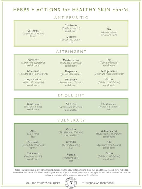 Introductory Herbal Course Unit 5: Body Care – Herbal Academy Herbalism Cheat Sheet, Learn Herbalism, Herbal Study Sheet, Free Herbalism Courses, Apothecary Shoppe, Medicinal Herbs Remedies, Student Dashboard, Herbal Education, Wild Geranium