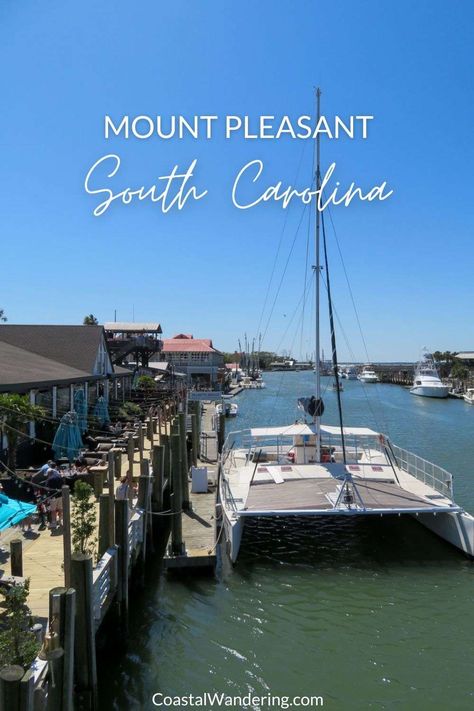 Visit South Carolina, Folly Beach South Carolina, Mount Pleasant South Carolina, Mt Pleasant Sc, South Carolina Vacation, Zipline Adventure, Charleston Travel, College Of Charleston, Mount Pleasant Sc