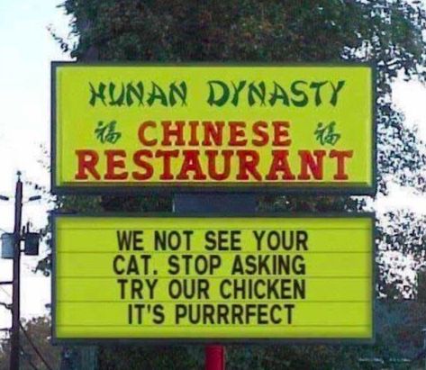 26 people who nailed it or failed trying Clean Funny Pictures, Clean Funny, Signs From The Universe, Private Investigator, Chinese Restaurant, Signed Photo, Funny Signs, Funny Cute, Random Things