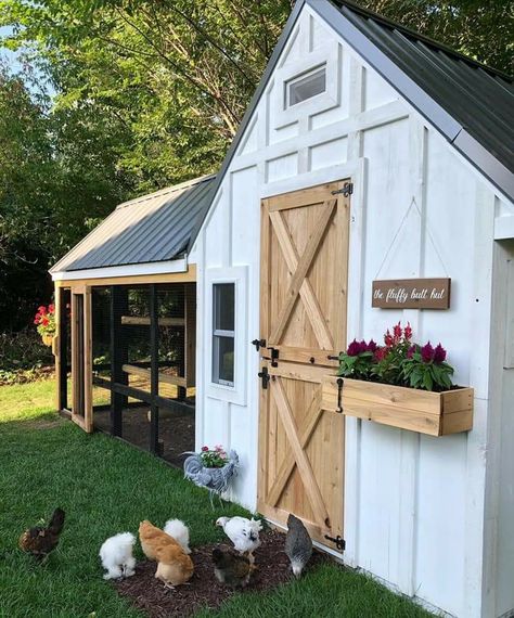 Reban Ayam, Cute Chicken Coops, Chicken Coop Garden, Backyard Chicken Coop Plans, Backyard Chicken Farming, Coop Design, Chicken Coop Designs, Chicken Garden, Coop Plans