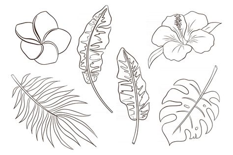 Line Art Tropical Flowers and Leaves Vector Isolated Items Collection Art Tropical, Leaves Vector, Family Tattoos, Tropical Flowers, Flowers And Leaves, Flower Drawing, Arm Tattoo, Premium Vector, Line Art