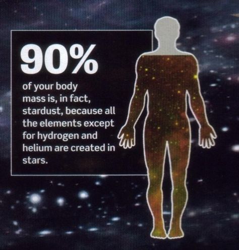 Interesting concept to consider that provides a different perspective on the body's relationship with the universe: we are made of stardust. Astronomy Facts, Space Facts, Quantum Physics, Science Facts, The Human Body, Space Science, Space And Astronomy, Fun Science, Science And Nature