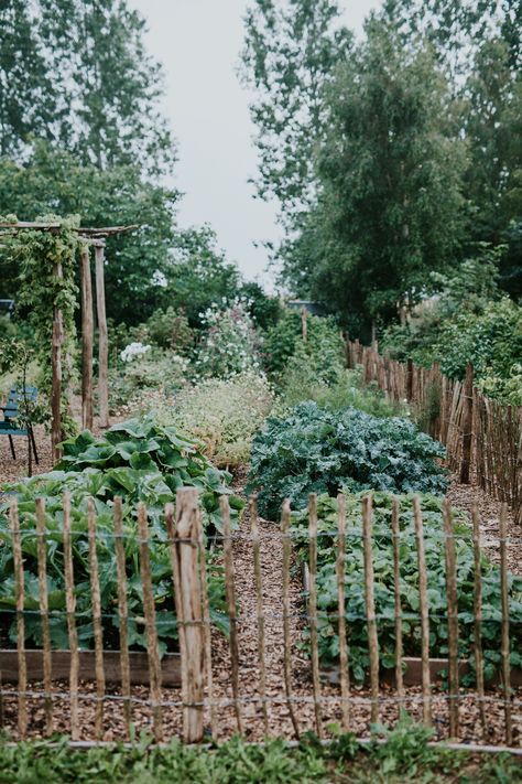 French Country Garden, Potager Garden, Veg Garden, Have Inspiration, Vegetable Garden Design, Perfect Garden, Garden Fencing, Veggie Garden, Garden Cottage