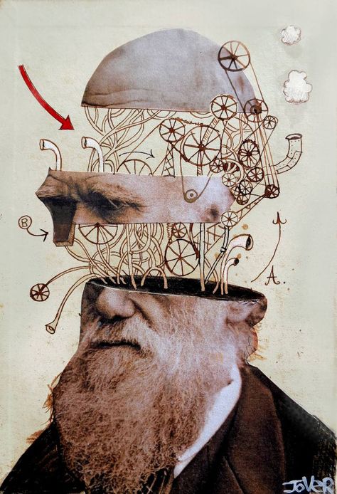 Loui Jover, Collage Portrait, Soyut Sanat Tabloları, Charles Darwin, Collage Illustration, Collage Design, A Level Art, Art And Illustration, Surreal Art