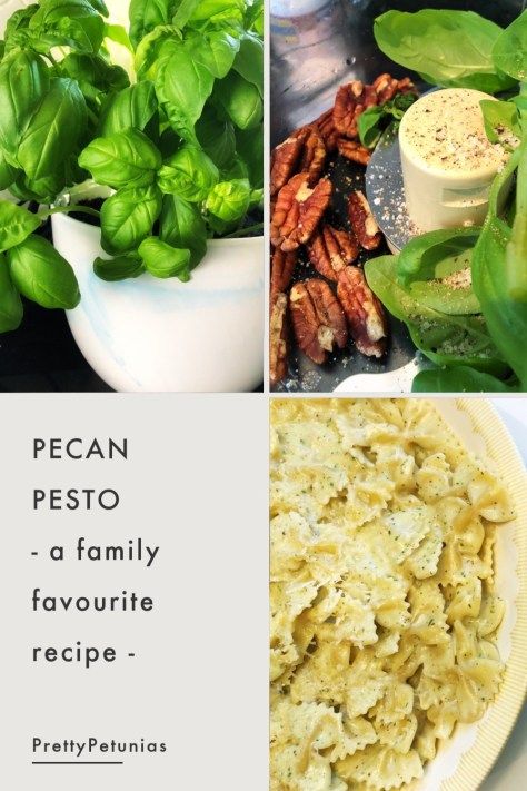 Simple Pesto Recipe, Home Made Pesto, Pecan Pesto, Roasted Pecans, How To Make Pesto, Pecan Recipes, Homemade Pesto, Home Grown, Pesto Recipe