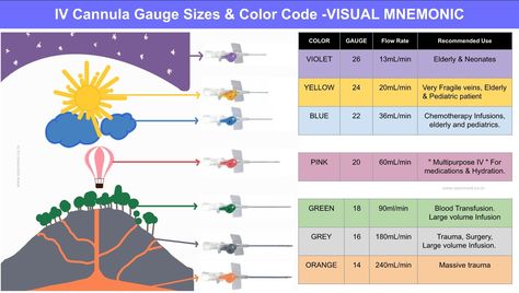 IV cannula colour coding learning trick Mnemonic Happy studies/Study material/Study life Iv Cannula Size And Color, Kernig Sign, Nurse Technician, Iv Cannula, Erb Palsy, Coding Learning, Science Anatomy, Iv Line, Facts Science