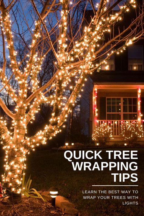 Wrapping one or several trees with lights is an easy way to elevate the atmosphere in your outdoor spaces during any season. Outdoor Tree Lighting, Christmas Lights Outside, Hanging Christmas Lights, Christmas House Lights, Outdoor Fairy Lights, Outdoor Christmas Tree, Outdoor Trees, Solar Fairy Lights, Christmas Lighting