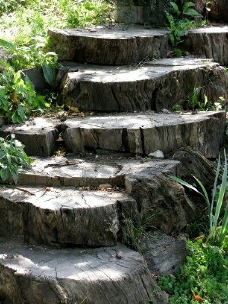 Old tree stump steps Garden Stairs, Old Tree, Gnome House, Old Trees, Backyard Retreat, Creative Gardening, Garden Pathway, Tree Stump, Small Garden Design