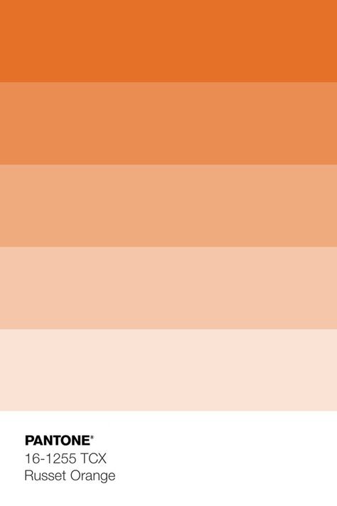 Orange Tones Colour Palettes, Orange Pantone Colour Palettes, Orange Pallet Color, Pastel Orange Color Palette, Orange Pallet, Pantone Violet, Color Palette Orange, Orange Colour Palette, Orange Architecture