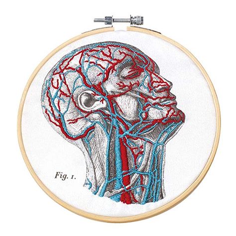 AmazonSmile: Mr. Sci Science Factory DIY Blood Vessel Embroidery Kits George Mcclellan, Diy Blood, Bugs Embroidery, Stamped Embroidery Kit, Embroidered Art, Sewing Embroidery Designs, Embroidery Hoop Art, Embroidery Kit, Bamboo Fabric