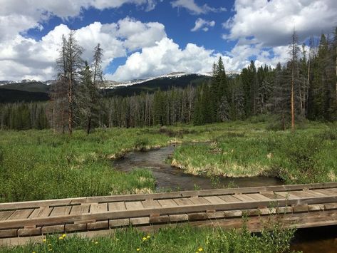 South Fork Colorado, Fraser Colorado, Dense Forest, Trail Hiking, Colorado Vacation, Vacation Usa, Aspen Trees, Colorado Travel, Hiking Trail