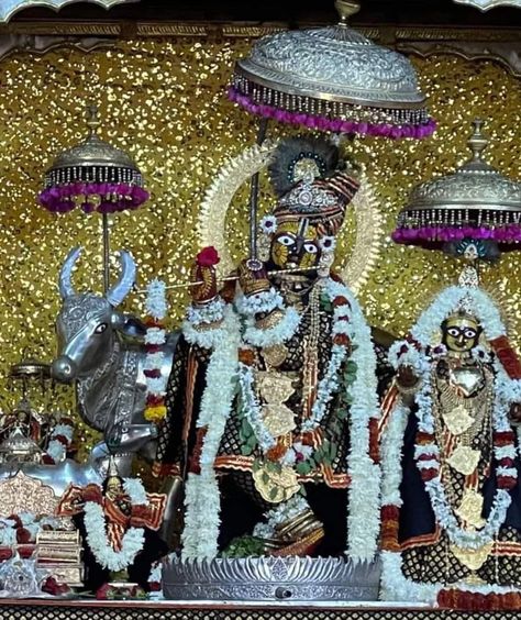 Sri Govind dev ji, jaipur Rajasthan. Govind Dev Ji Jaipur, Jaipur Snap, Govind Dev Ji, All God Images, Shri Hari, Mantra For Good Health, Dev Ji, God Images, Sri Sri