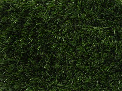 LUSH TURF - fake grass option for lower north courtyard Shade Tolerant Grass, Centipede Grass, Fescue Lawn, Zoysia Grass, Growing Grass, Types Of Grass, Gardening Hat, Grass Type, Free Textures