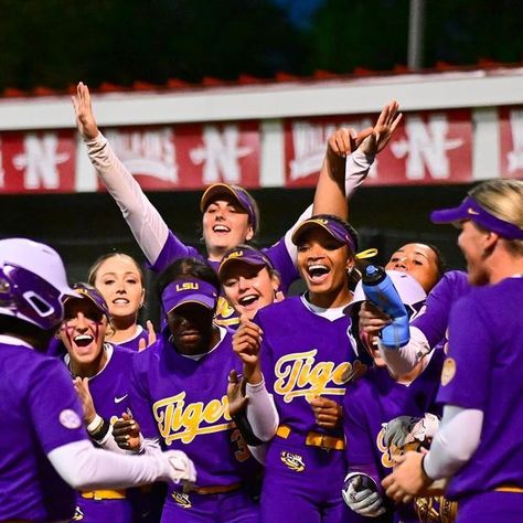 Lsu Volleyball, Lsu Softball, Lsu Womens Basketball, Lsu Jersey, Lsu Tigers Baseball, Lsu Tigers, Softball, Instagram