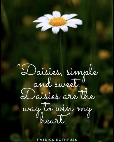 Daisy Quotes Simple, Daisy Flower Quotes, Daisy Flower Art, Daisy Quotes, Daisy Kitchen, Daisy Decor, Rose Sangria, Coaster Ideas, Gardening Quotes