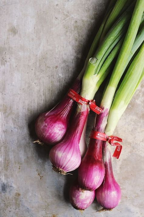 Onion Photo, Onion Photography, Garlic Pasta Recipe, Garlic Butter Shrimp Pasta, Garlic Butter Pasta, Garlic Bread Pizza, Garlic Bulbs, Onion Leeks, Garlic Shrimp Pasta