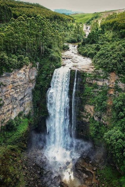 Kwazulu Natal South Africa, South African Landscapes, Tea Wallpaper, Waterfall Wedding, Forest Waterfall, African Travel, Africa Do Sul, Itinerary Planning, House Property