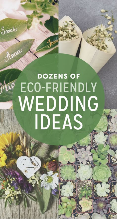 Eco-friendly Wedding Ideas | The Budget Savvy Bride Wedding Souvenirs For Guests, Zero Waste Wedding, Eco Friendly Wedding Ideas, Sustainable Wedding Ideas, Eco Wedding, Boda Mexicana, Sustainable Wedding, Eco Friendly Wedding, Low Waste