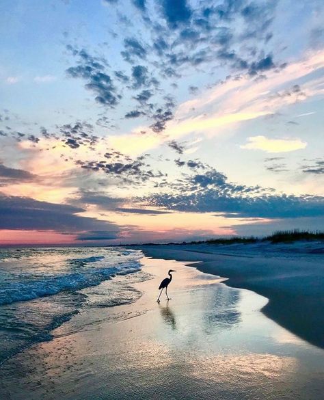 "It is almost impossible to watch a sunset and not dream." -Bern Williams ☀️🌅 . . . 📸 via: @jesssie303 Emerald Coast, Bern, Emerald, Natural Landmarks, Water, Travel