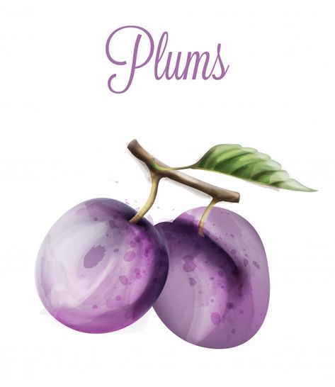 Plum Watercolor, Water Texture, Fruit Icons, Watercolor Food, Label Templates, Template Download, Summer Fruit, Transparent Png, Games For Kids