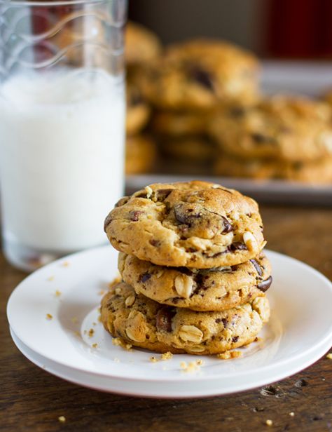 Peanut Butter Oatmeal Chocolate Chip Cookies  {Pinch of Yum} Peanut Butter Pretzel Cookies, Peanut Butter Oatmeal Chocolate Chip Cookies, Peanut Butter Oatmeal Chocolate Chip, Bakery Chocolate Chip Cookies, Milk Chocolate Chip Cookies, Pretzel Cookies, Pinch Of Yum, Peanut Butter Pretzel, Mince Pie