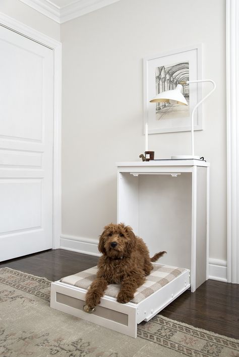 Murphy Dog Bed DIY - roomfortuesday.com Murphy Dog Bed, Dog Bed Diy, Cheap Dog Kennels, Room For Tuesday, Murphy Bed Ikea, Dog Spaces, Designer Dog Beds, Murphy Bed Plans, Dog House Diy