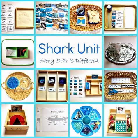 Shark Activities, Fish Activities, Ocean Unit, Ocean Activities, Montessori Ideas, Themed Activities, Theme Activity, Animal Activities, Preschool Themes