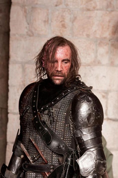 The Hound Rusted Armor, Hound Game Of Thrones, Sandor Clegane, Eddard Stark, Rory Mccann, Happy National Dog Day, Game Of Thrones Series, Game Of Thrones Tv, Got Game Of Thrones