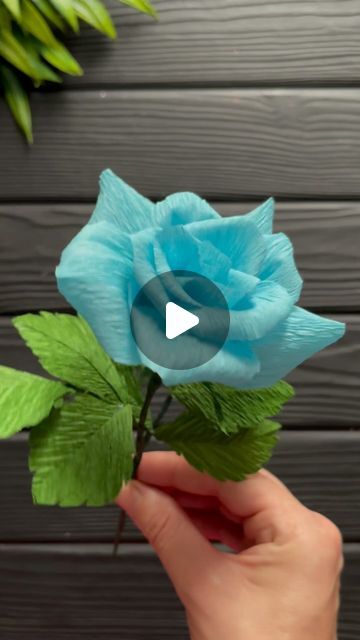 Rose Crepe Paper, Crepe Paper Flower Tutorial, Crepe Paper Roses Tutorial, Blue Rose Flower, Crepe Paper Flower, Rose Diy, Crepe Paper Roses, Paper Blue, Paper Craft Tutorials